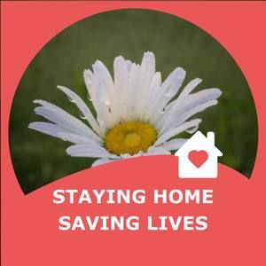 Meet your Posher, Sheryl